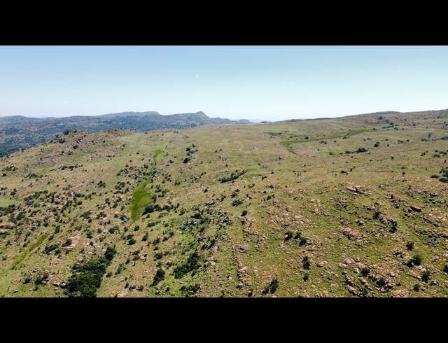 256HA FARM FOR SALE IN ROOSSENEKAL AH